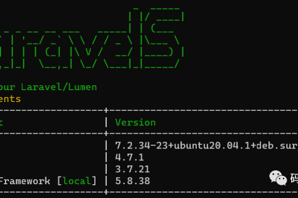 Laravel 使用Laravels问题解决
